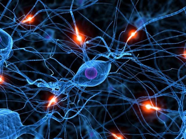 Basic understanding of Artificial Neural network